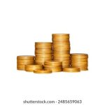 猫猫云官方:探索猫咪世界的全新在线平台与服务 l1lc0i