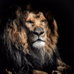 理论片奇优影院:探索深邃思想与人性之美的视听盛宴 wwsnq